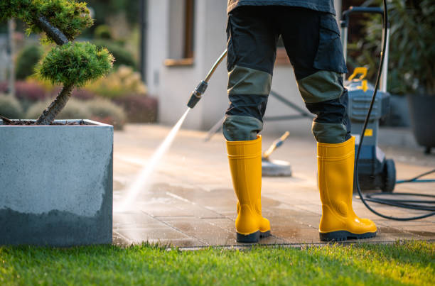 Best Pressure Washing Company Near Me  in Murfreesboro, TN